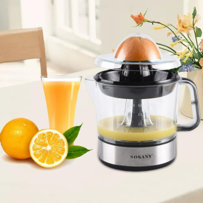 Electric Juicer Squeezer Machine